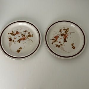 Vintage Four Seasons Dinner Plates Size 10.75” Diameter